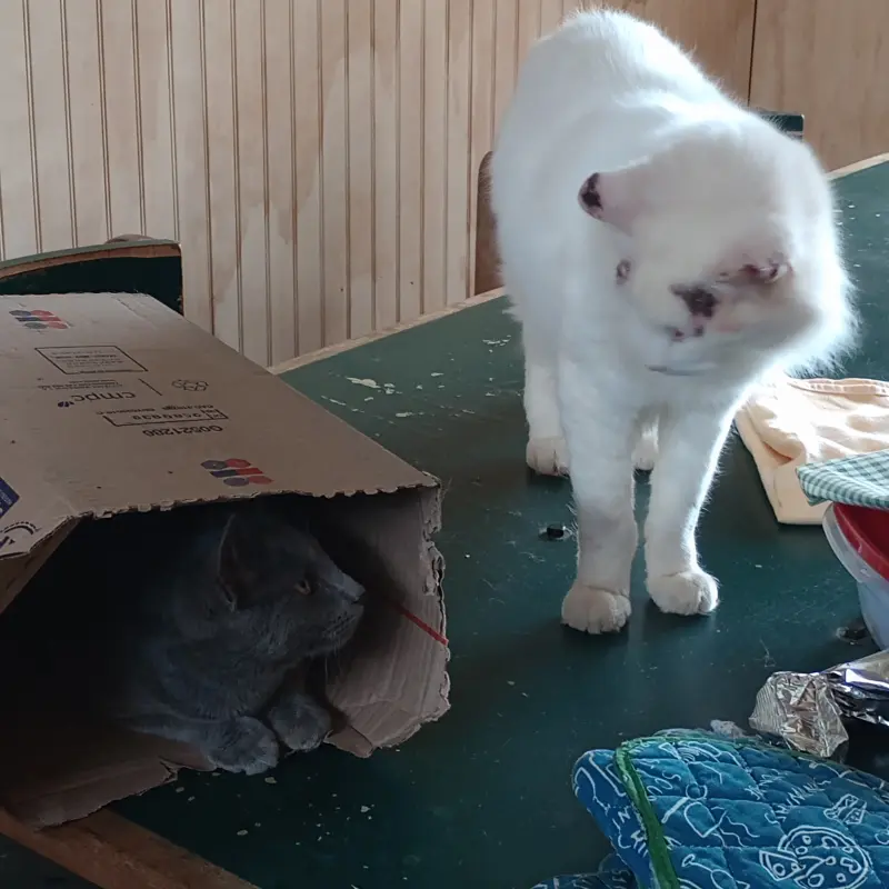 imagen Watón y Pomo